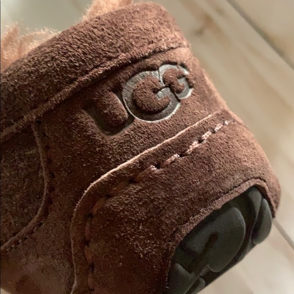 UGG Ascot Wool Slipper NEW - Picture 6 of 7